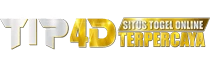 Logo Tip4D